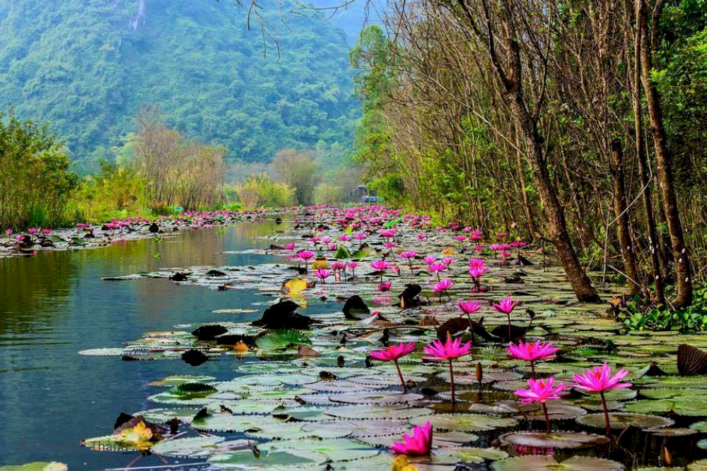 Pilgrims and tourists alike can enjoy the beauty of the river
